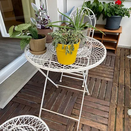 2 Piece Calme Cronenbourg 5min Centre * Strasbourg